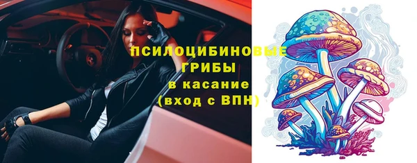спиды Алексин